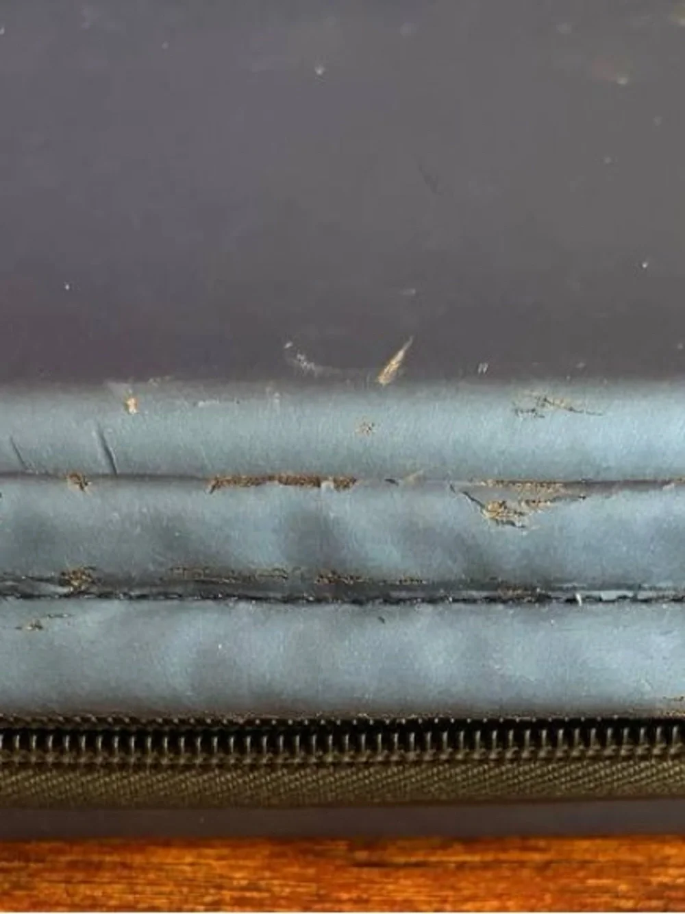 Nintendo DS Case